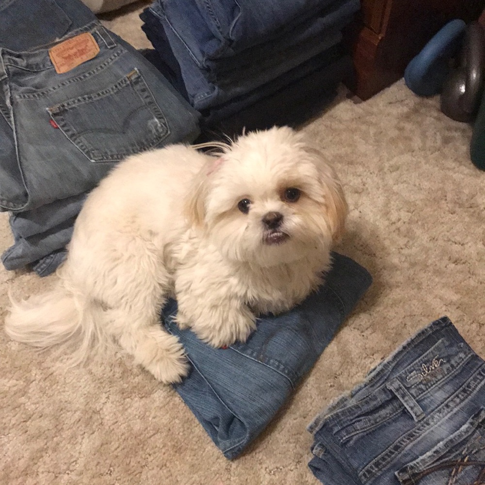 Meet your Posher, Tara